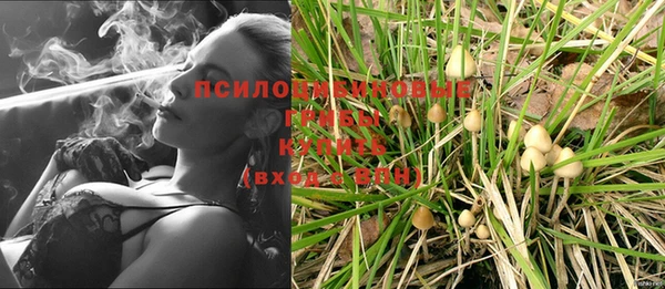 mix Алексин
